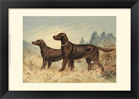 Framed Irish Setter II Print