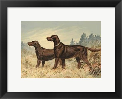 Framed Irish Setter II Print