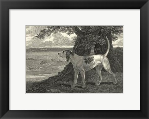 Framed Staghound Print