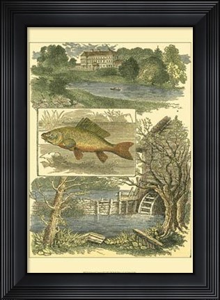 Framed Fisherman&#39;s Vignette II Print