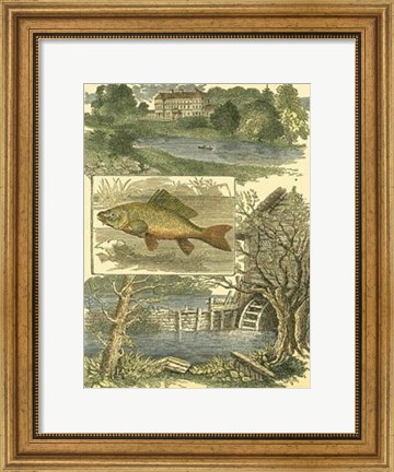 Framed Fisherman&#39;s Vignette II Print