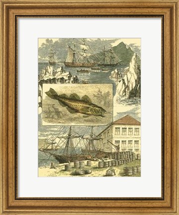 Framed Fisherman&#39;s Vignette III Print