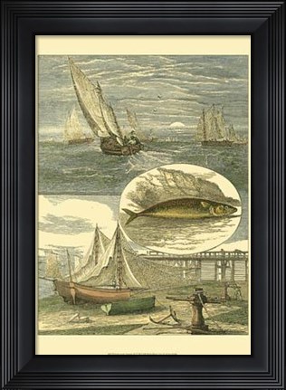 Framed Fisherman&#39;s Vignette IV Print