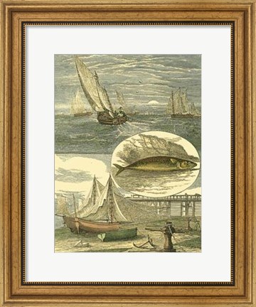 Framed Fisherman&#39;s Vignette IV Print