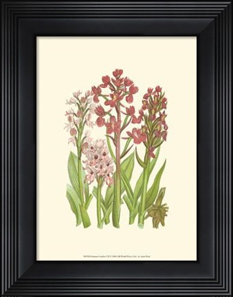 Framed Summer Garden VII Print