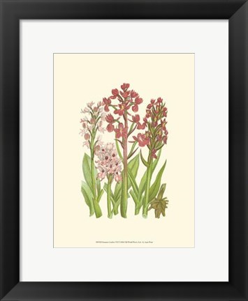 Framed Summer Garden VII Print