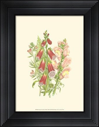 Framed Summer Garden VIII Print