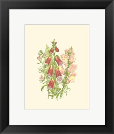 Framed Summer Garden VIII Print