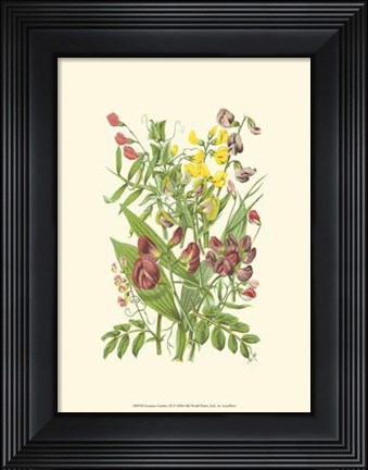 Framed Summer Garden IX Print