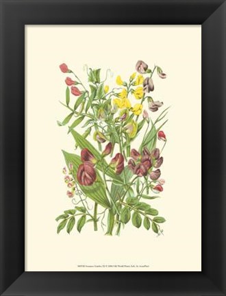 Framed Summer Garden IX Print