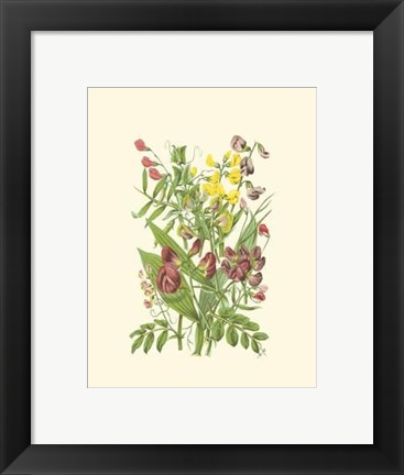 Framed Summer Garden IX Print