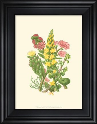 Framed Summer Garden X Print