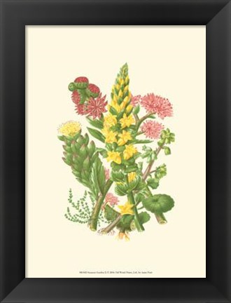 Framed Summer Garden X Print