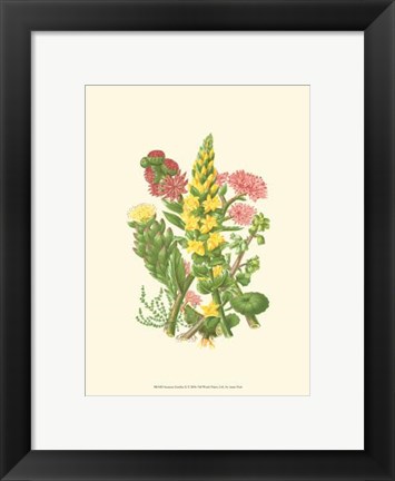 Framed Summer Garden X Print