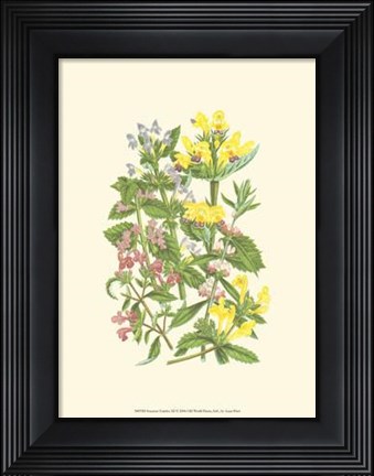 Framed Summer Garden XI Print