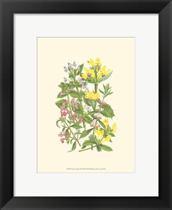 Framed Summer Garden XI Print