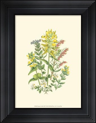 Framed Summer Garden XII Print