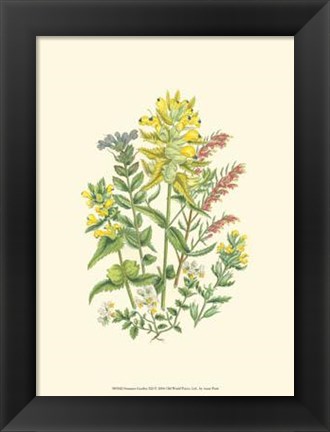 Framed Summer Garden XII Print