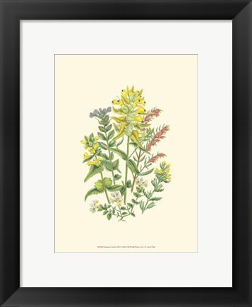 Framed Summer Garden XII Print