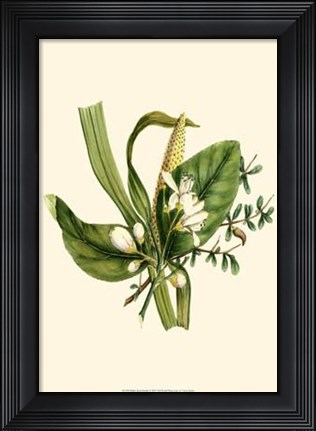 Framed Balmy Reed Branch Print