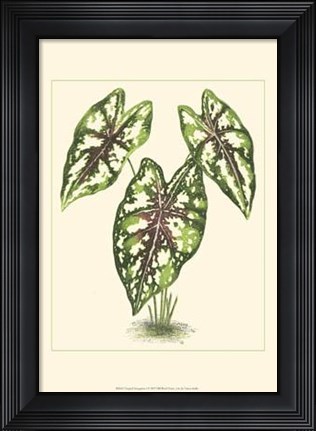 Framed Tropical Variegation I Print