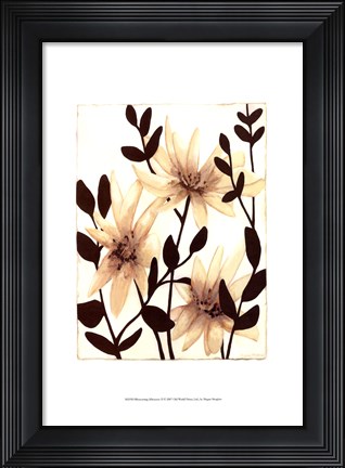 Framed Blossoming Silhouette II Print