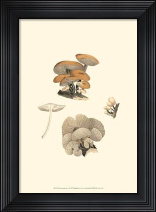 Framed Curtis Mushrooms I Print