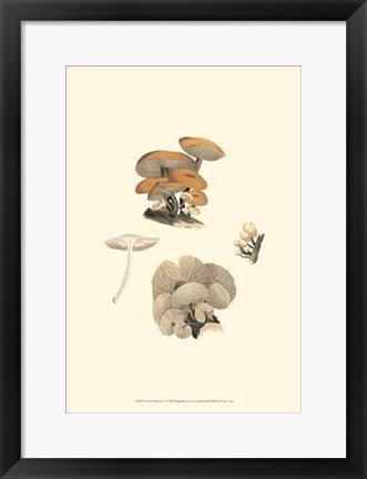 Framed Curtis Mushrooms I Print