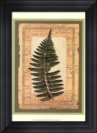 Framed Woodland Scrapbook I Print