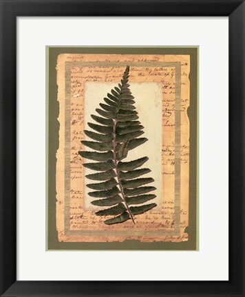 Framed Woodland Scrapbook I Print
