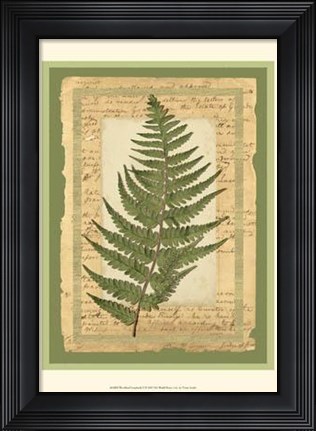 Framed Woodland Scrapbook II Print