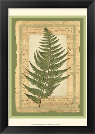 Framed Woodland Scrapbook II Print