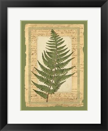 Framed Woodland Scrapbook II Print