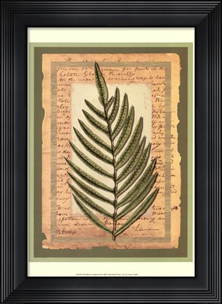 Framed Woodland Scrapbook III Print