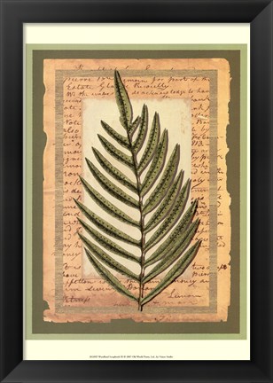 Framed Woodland Scrapbook III Print