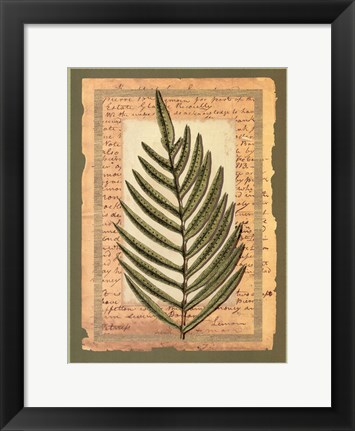 Framed Woodland Scrapbook III Print