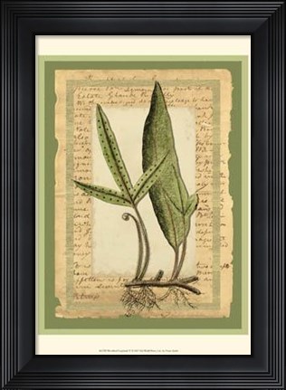 Framed Woodland Scrapbook IV Print