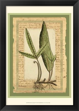 Framed Woodland Scrapbook IV Print