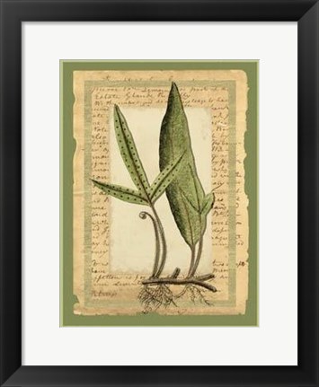 Framed Woodland Scrapbook IV Print