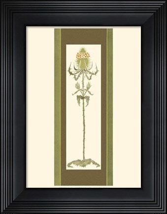 Framed Bristling Stems II Print
