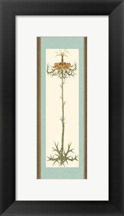 Framed Bristling Stems III Print
