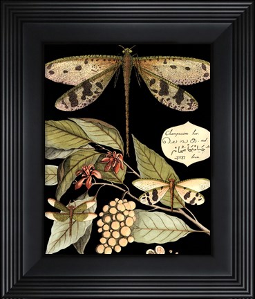 Framed Whimsical Dragonflies On Black I Print