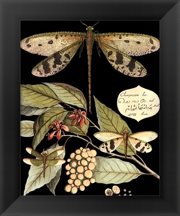 Framed Whimsical Dragonflies On Black I Print
