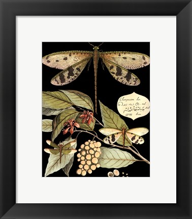 Framed Whimsical Dragonflies On Black I Print