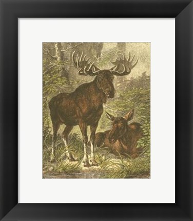 Framed Small Moose Print