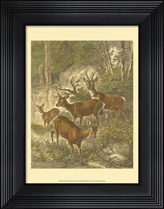 Framed Small Roe Deer Print