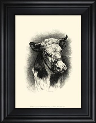 Framed Antique Cattle I Print