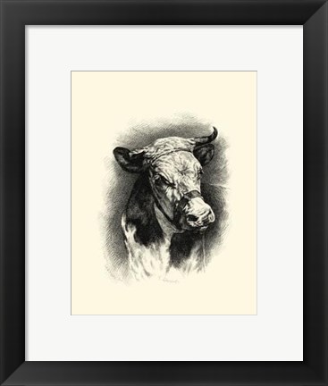 Framed Antique Cattle I Print