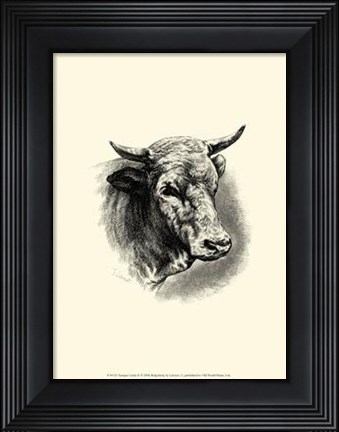 Framed Antique Cattle II Print