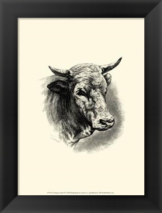 Framed Antique Cattle II Print